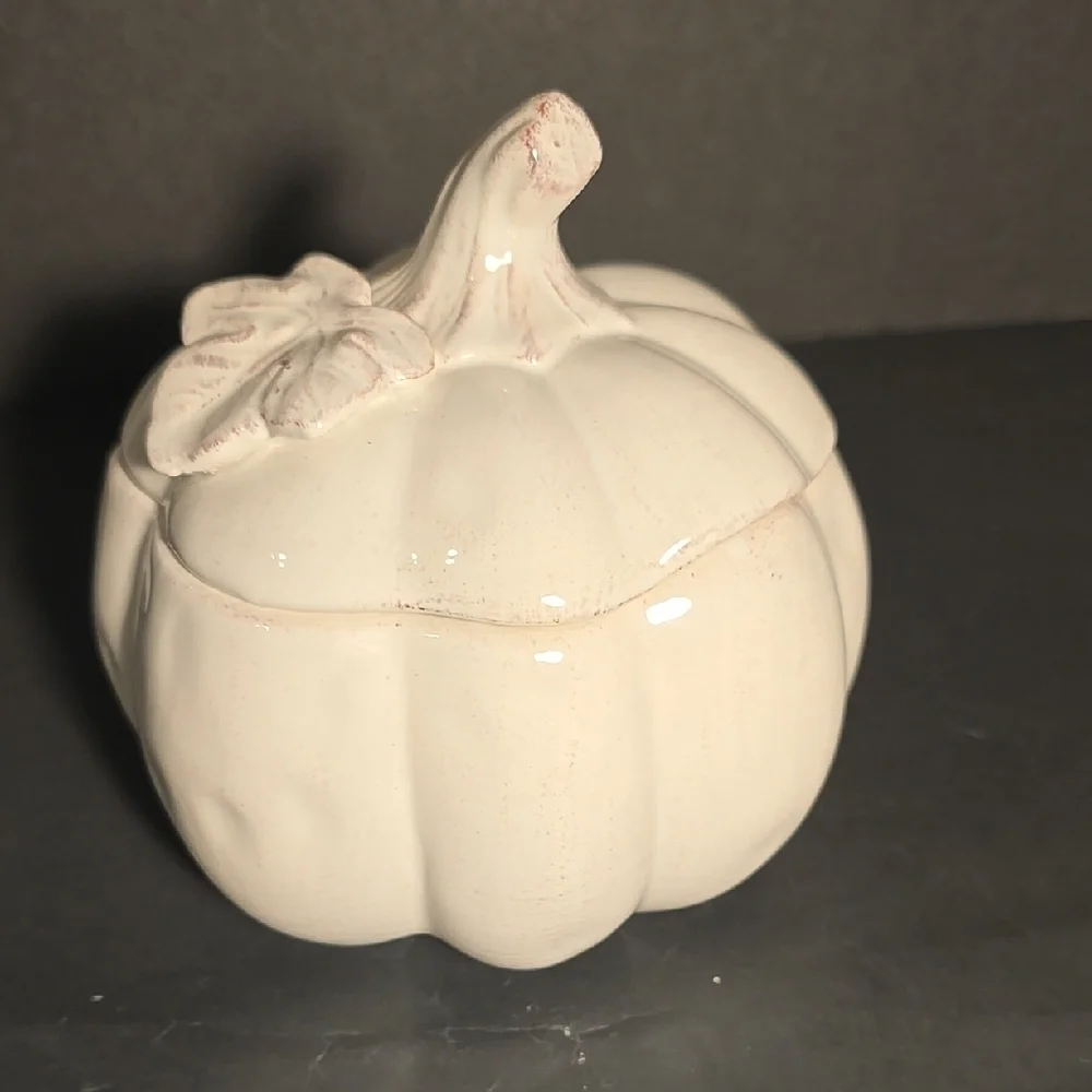 Pier‎ 1 Hand Painted Dolomite Ceramic Lidded Distressed White Pumpkin